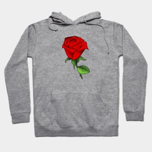 Bouquet of Roses, Flowers, Spring Country Floral Women's Fashion Hoodie